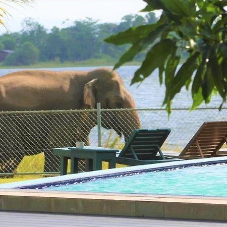 Hotel Lake Park Polonnaruva Kültér fotó