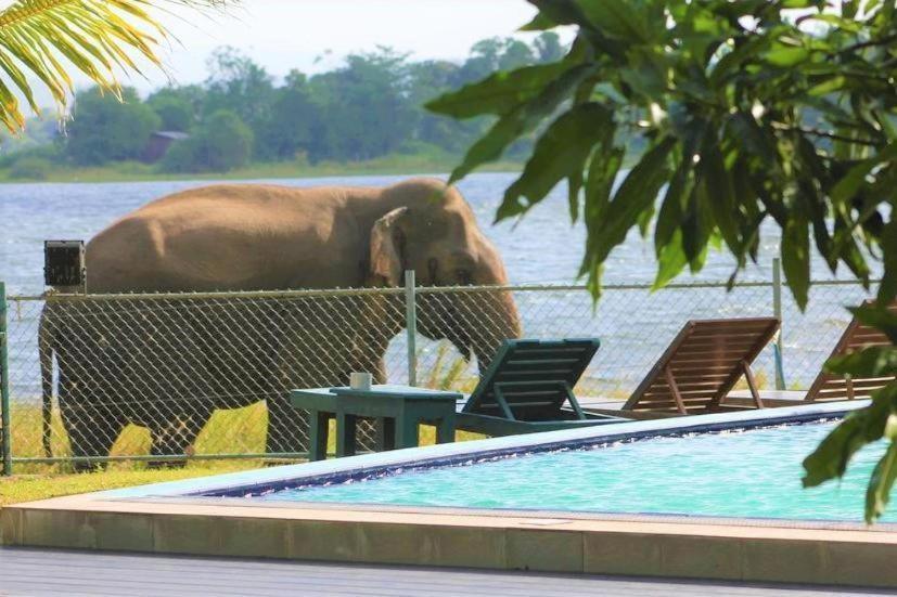 Hotel Lake Park Polonnaruva Kültér fotó